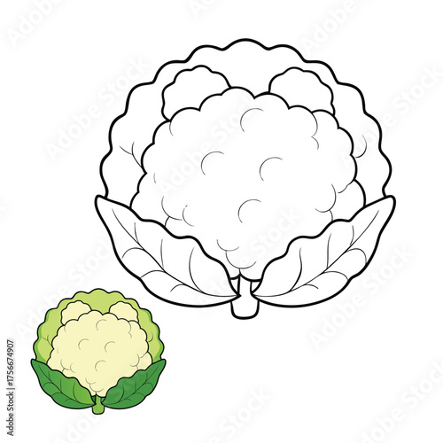 A fun cauliflower coloring page showing a fresh, bumpy vegetable with leafy greens. Great for teaching kids about healthy food and garden vegetables in an engaging way.
