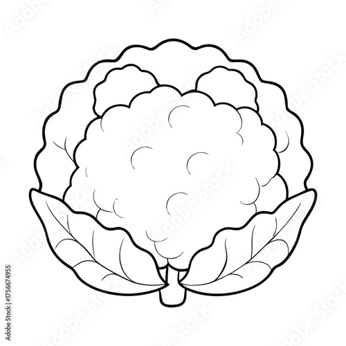 A fun cauliflower coloring page showing a fresh, bumpy vegetable with leafy greens. Great for teaching kids about healthy food and garden vegetables in an engaging way.
