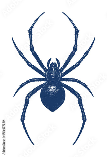 sketch drawing illustration of a spider - ai generated (artwork 3)