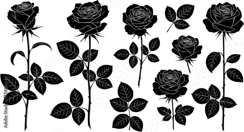 Set of decorative rose with leaves. Flower silhoutte. Vector illustration.