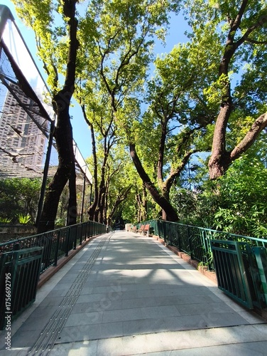 Hong Kong, October 15,2025 : The Hong Kong Zoological and Botanical Gardens (HKZBG) is one of the oldest zoological and botanical centres in the world, and the oldest park in Hong Kong.