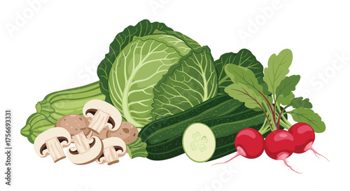 A vibrant assortment of fresh garden vegetables including cabbage mushrooms cucumbers radishes and zucchini perfect for healthy cooking.