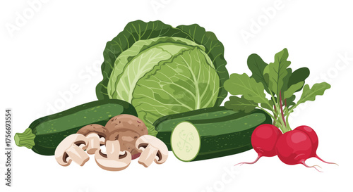 A healthy selection of fresh vegetables including cabbage zucchini mushrooms and radishes.