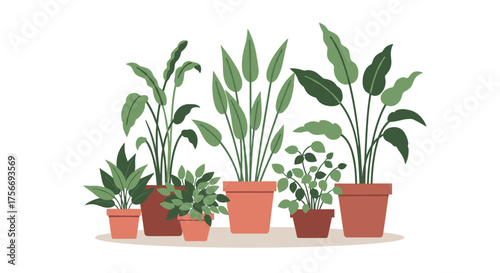 A collection of various potted houseplants arranged in a visually pleasing composition.