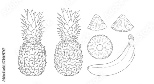 A collection of fresh tropical fruits including pineapples bananas and pineapple slices in a simple line art drawing.