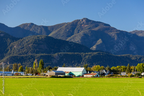 Farm buildings and green agricultural fields with dense forest covering the mountains under a clear blue sky in the Fraser Valley, British Columbia