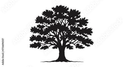 A detailed black silhouette of a mature deciduous tree with a full canopy of leaves and spreading branches on a white background silhouette