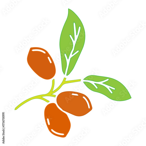 Fruit and Leaf Illustration
