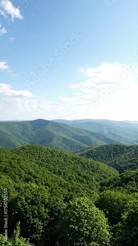 Forested hills are painted in layers, each receding into a paler shade of green.