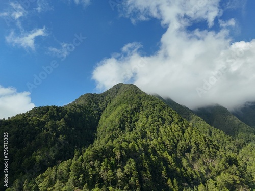 Wallpaper Mural Aerial view of a lush green mountain covered with dense tropical forest under a bright blue sky and low clouds. Torontodigital.ca