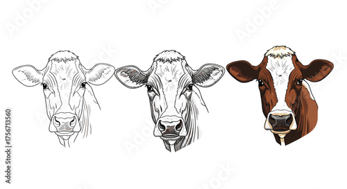 Three different drawing styles of a brown and white cow head.