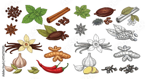 A vibrant collection of fresh and dried aromatic culinary spices.