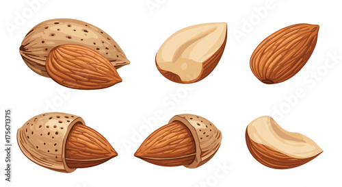 A collection of delicious almonds in various forms and stages of preparation.