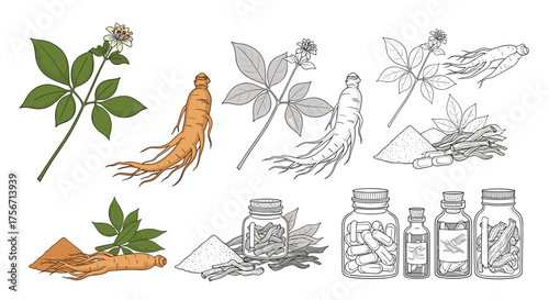 A collection of visual elements depicting ginseng plants roots and various herbal remedies.