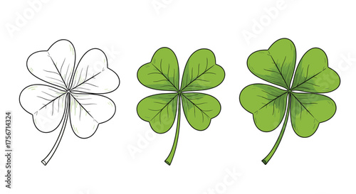 The artistic journey of a four leaf clover illustration.