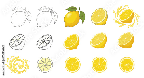 A collection of fresh yellow lemons shown in various illustrative styles.