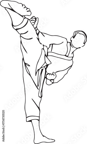 martial arts, fighter pose, self defense, athlete vector, competition drawing, combat skill, strength posture, training illustration, disciplined art, physical movement