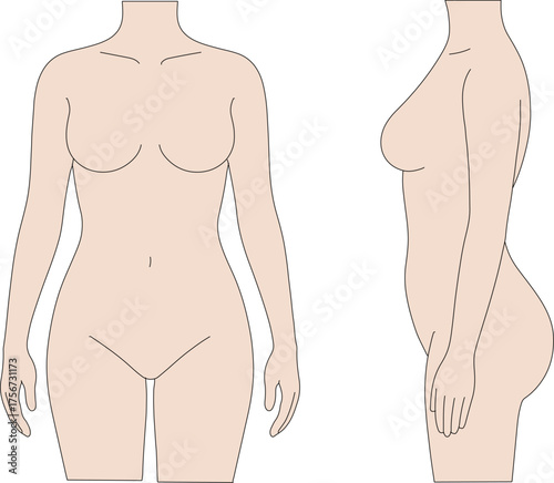 Female Mannequin Body Outline Illustration
