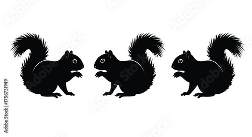 Three black squirrel silhouettes isolated on white background