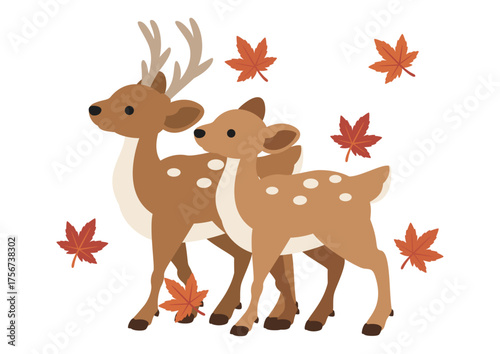 紅葉の葉が舞う中で歩く鹿のペア