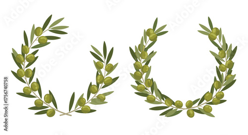 Decorative olive branches arranged in a circular wreath shape for graphic design.