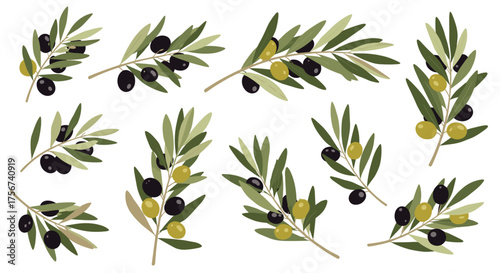 A collection of olive branches with green and black olives. 