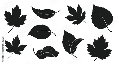 Silhouettes of various autumn leaves in different shapes and sizes.
