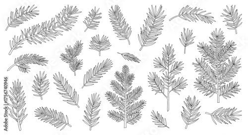 A Diverse Collection of Hand Drawn Botanical Elements and Decorative Natural Motifs