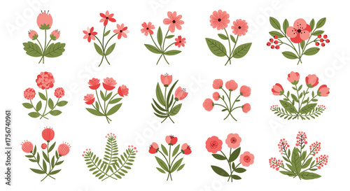 A collection of delicate coral pink floral arrangements and botanical illustrations.