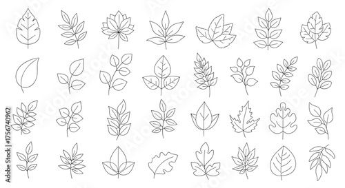 A collection of diverse autumn leaf illustrations in various styles.