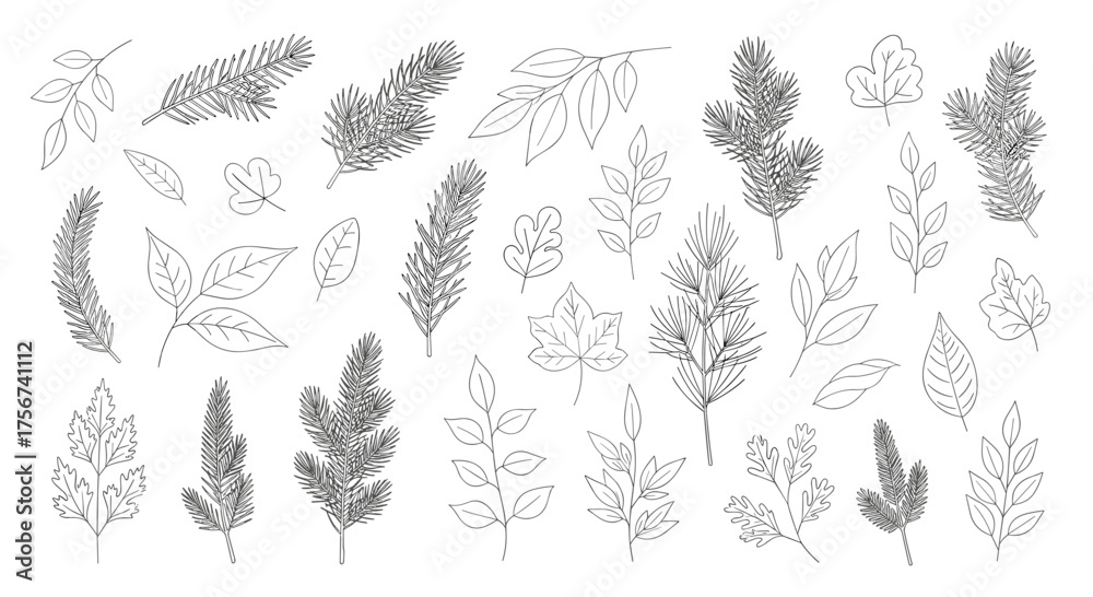 Fototapeta premium A collection of delicate hand drawn botanical elements and leaves.