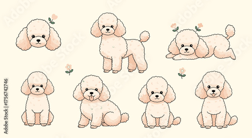 A charming collection of adorable poodle illustrations adorned with delicate flowers.