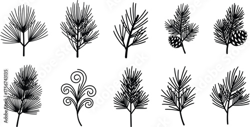 Pine branch silhouette vector set, black botanical illustrations, pine cone and needle designs, nature drawing bundle, holiday foliage graphic elements