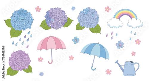 Colorful hydrangeas umbrellas and watering can with rainbow and rain.
