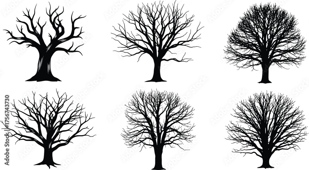 Obraz premium Leafless tree silhouette vector set with diverse branching patterns, black botanical icons, abstract forest illustrations, seasonal winter graphics, artistic nature bundle, decorative elements