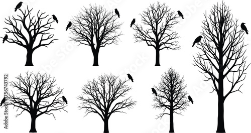 Leafless tree silhouette vector set with perched crows and ravens, artistic forest illustration, seasonal nature elements, decorative graphic collection for creative projects