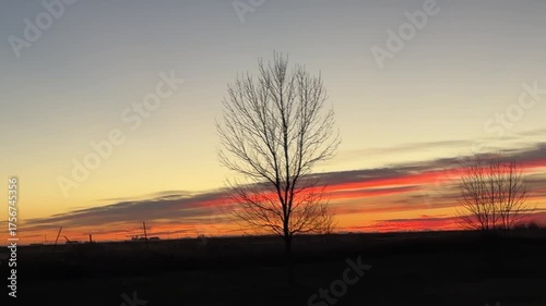 Lonely tree silhouetted against a colorful sunset sky in rural Alberta, Canada, capturing the peaceful glow of dusk and the quiet beauty of nature.