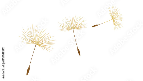 Flat vector of a single dandelion seed drifting gently in the air, its fine threads shimmering with golden light , symbol of hope and fragile dreams, on pure white background.