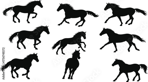 Black Horse Silhouettes in Dynamic Motion – Galloping, Trotting, Standing Poses for Equine Anatomy, Vector Design, and Artistic Illustration Projects