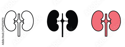 Human kidneys icon vector. medical design, health education, scientific symbol. vector illustration.