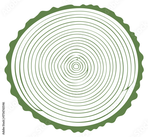 Stylized illustration of a tree trunk cross section with annual growth rings and bark