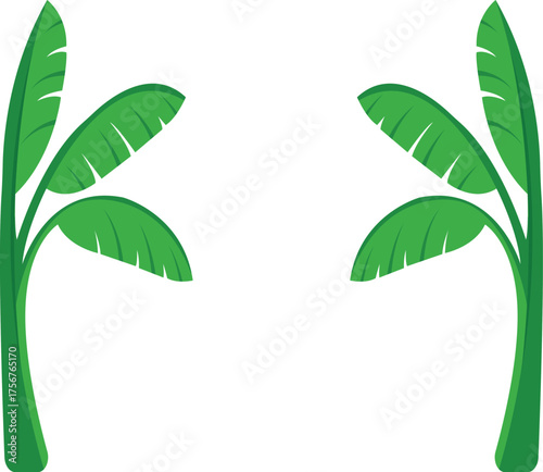 Illustration Of Green Banana Tree For Hindu Festival Celebration and Worship