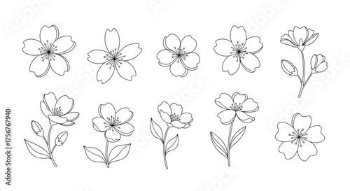 A collection of simple dotted outline flowers and floral stems.