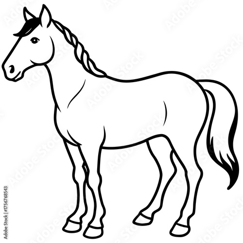 Horse with Braided Mane, a Line Art Illustration for Coloring