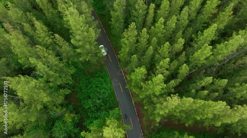 Aerial view of dark green forest road and white electric car Natural landscape and elevated roads Adventure travel and transportation and environmental protection concept	
