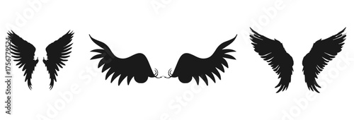 Three pairs of stylized wings isolated on transparent background isolated on white background