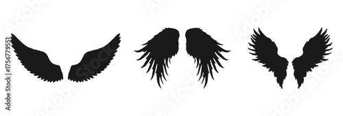 Three pairs of silhouette wings isolated on transparent background isolated on white background
