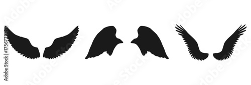 Three pairs of stylized wings isolated on transparent background isolated on white background