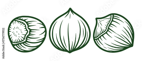 Stylized Line Art Illustrations of Three Hazelnuts on White Background