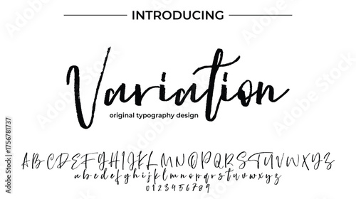Variation - Elegant Script Font for Smooth Handwritten Design and Creative Typography